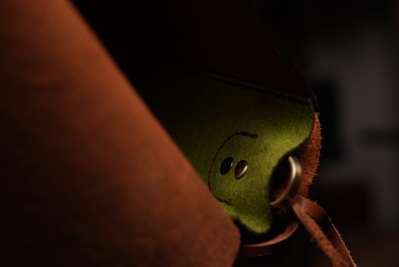Alloro leather— Leather Collection project frame